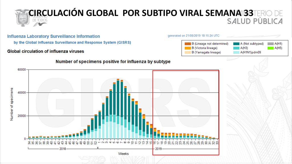 CIRCULACIÓN GLOBAL POR SUBTIPO VIRAL SEMANA 33