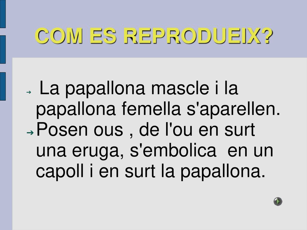 COM ES REPRODUEIX La papallona mascle i la papallona femella s aparellen.