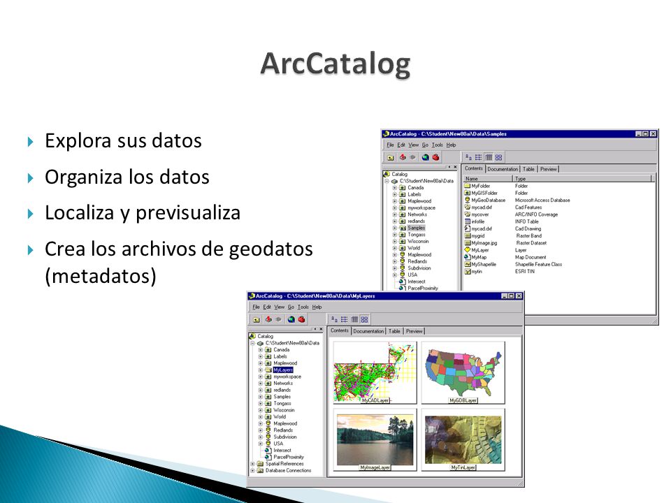 ArcCatalog Explora sus datos Organiza los datos