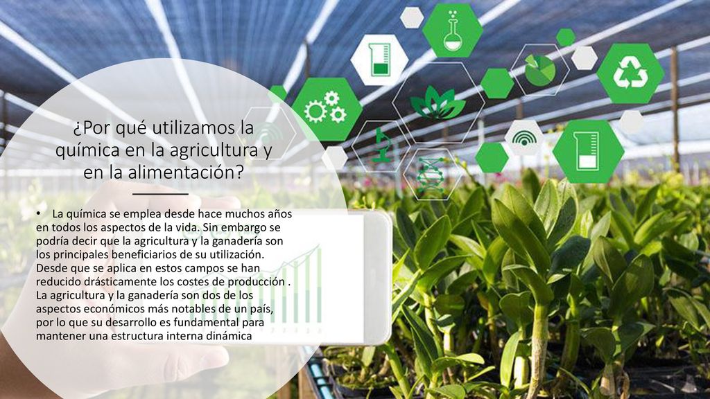 ¿Por qué utilizamos la química en la agricultura y en la alimentación