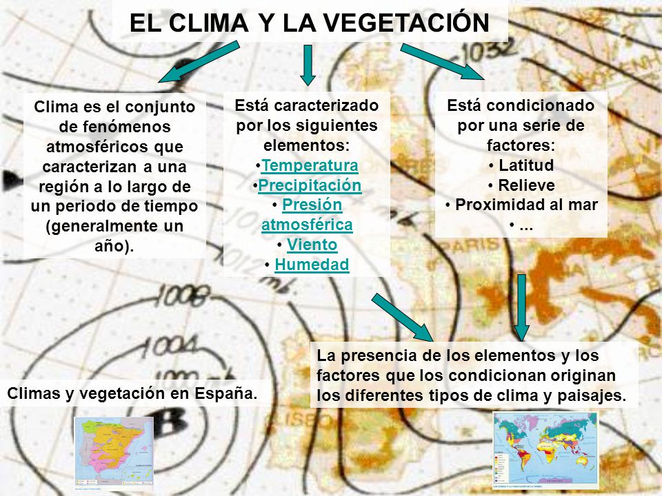 EL CLIMA Y LA VEGETACIÓN