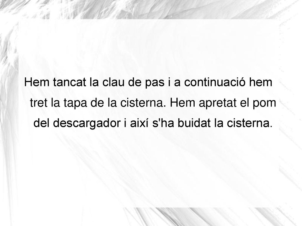 Hem tancat la clau de pas i a continuació hem tret la tapa de la cisterna.