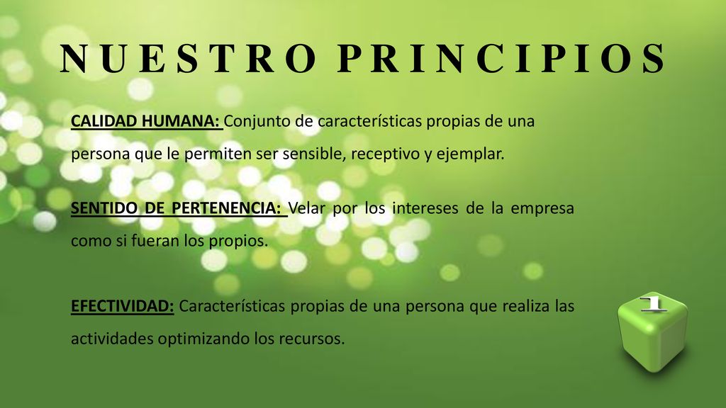 N U E S T R O P R I N C I P I O S