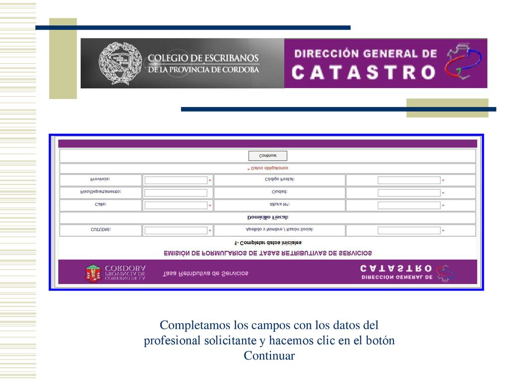 Completamos los campos con los datos del profesional solicitante y hacemos clic en el botón Continuar