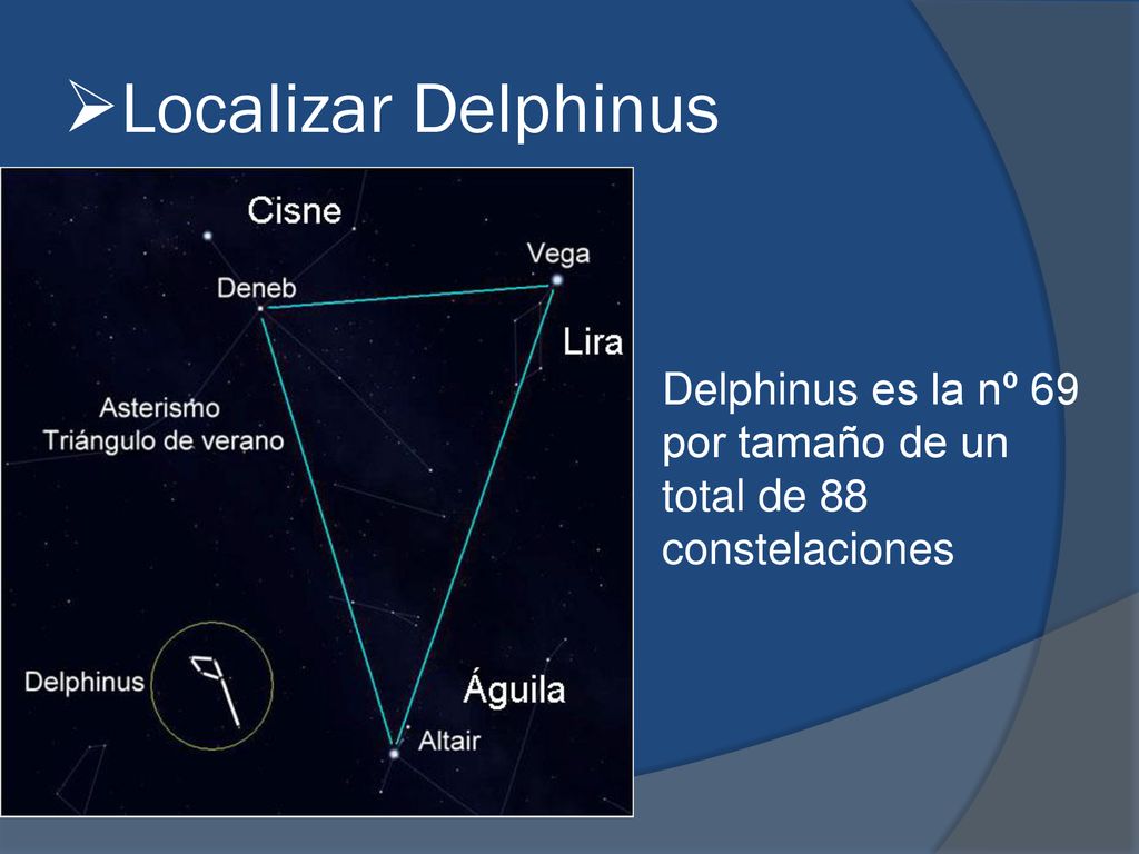 Localizar Delphinus Delphinus es la nº 69 por tamaño de un total de 88 constelaciones