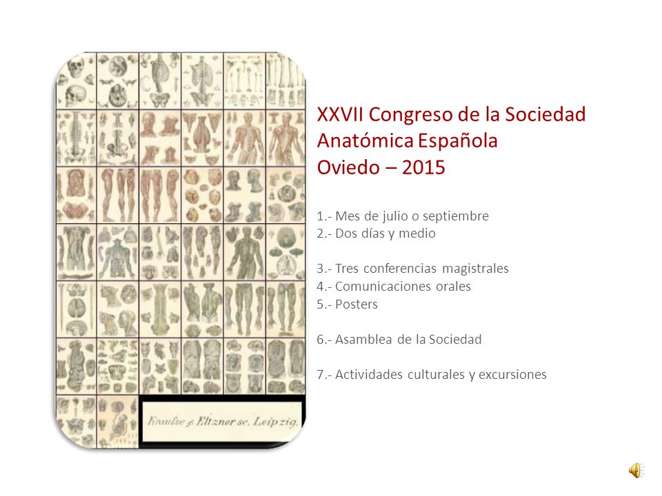 XXVII Congreso de la Sociedad Anatómica Española Oviedo – 2015