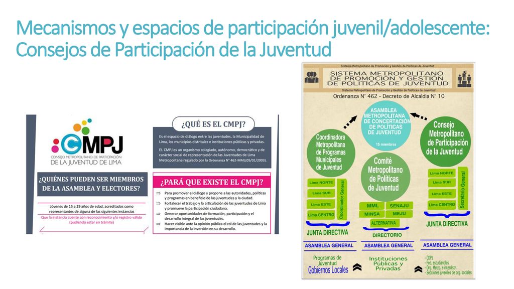 Mecanismos y espacios de participación juvenil/adolescente: Consejos de Participación de la Juventud