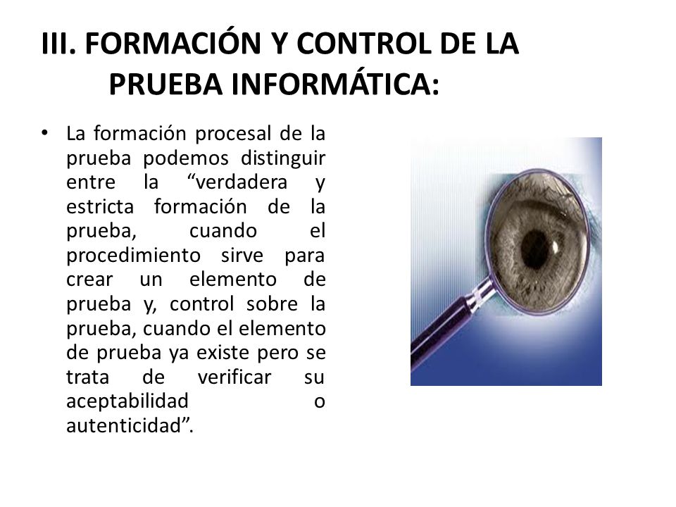 III. FORMACIÓN Y CONTROL DE LA PRUEBA INFORMÁTICA: