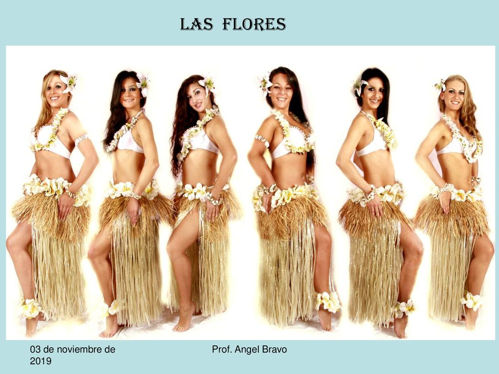 LAS FLORES 03 de noviembre de de noviembre de 2019