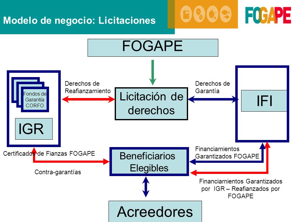 FOGAPE IFI IGR Acreedores Licitación de derechos