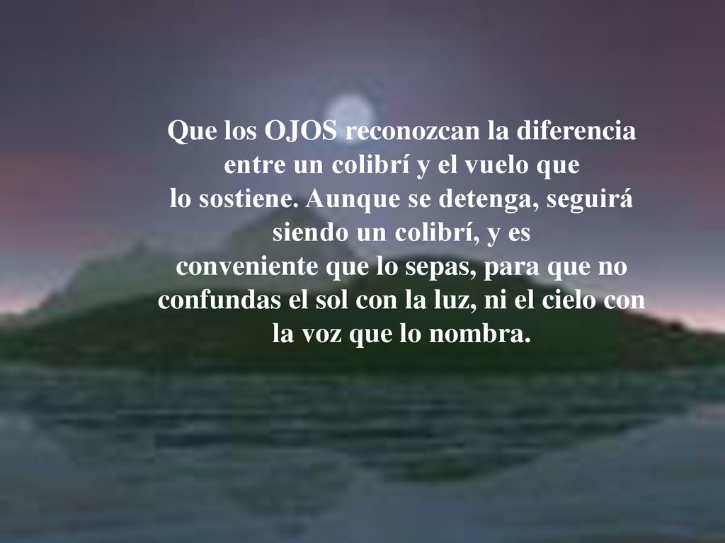 Que los OJOS reconozcan la diferencia entre un colibrí y el vuelo que lo sostiene.