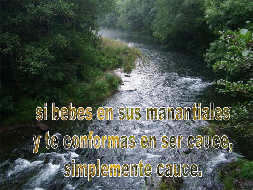 si bebes en sus manantiales y te conformas en ser cauce,