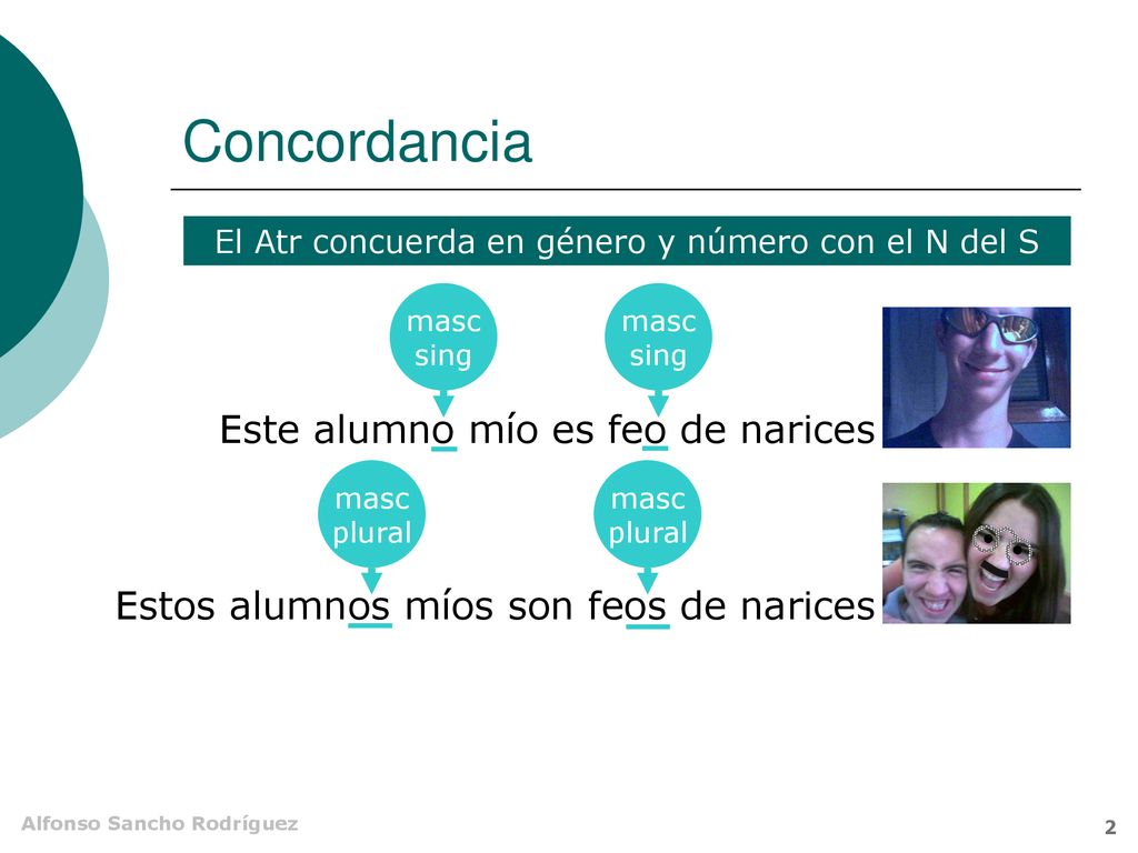 El Atr concuerda en género y número con el N del S