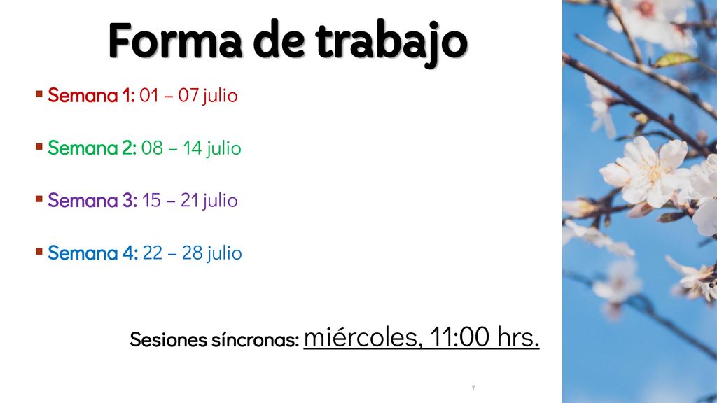 Forma de trabajo Semana 1: 01 – 07 julio Semana 2: 08 – 14 julio