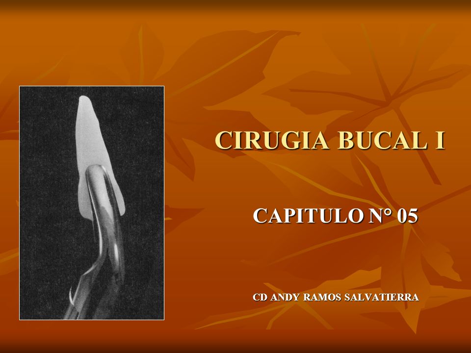 CAPITULO N° 05 CD ANDY RAMOS SALVATIERRA