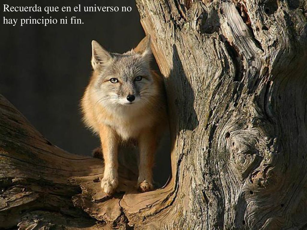 Recuerda que en el universo no hay principio ni fin.