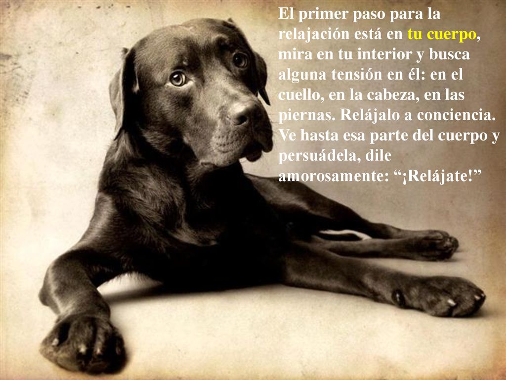 El primer paso para la relajación está en tu cuerpo, mira en tu interior y busca alguna tensión en él: en el cuello, en la cabeza, en las piernas.