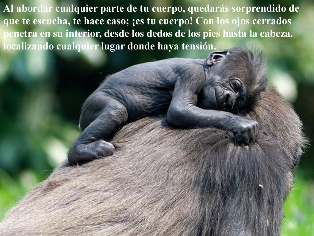 Al abordar cualquier parte de tu cuerpo, quedarás sorprendido de que te escucha, te hace caso; ¡es tu cuerpo.