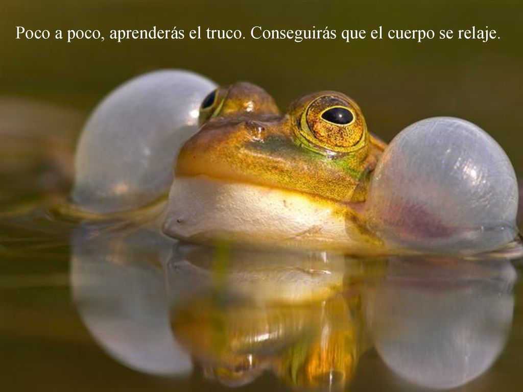 Poco a poco, aprenderás el truco. Conseguirás que el cuerpo se relaje.