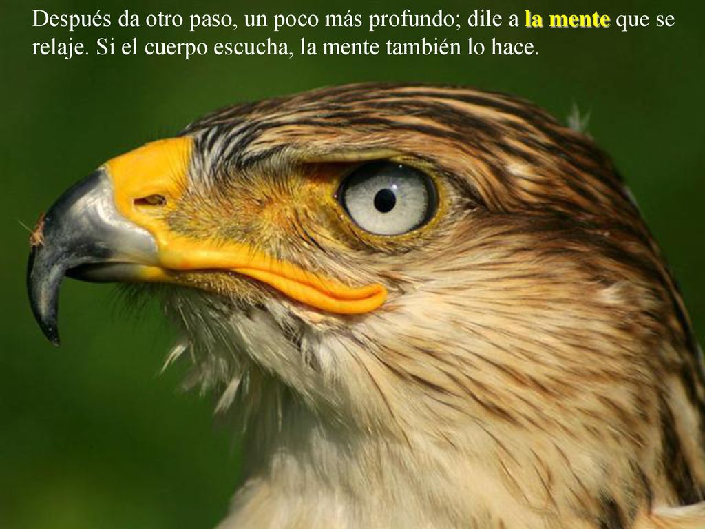 Después da otro paso, un poco más profundo; dile a la mente que se relaje.