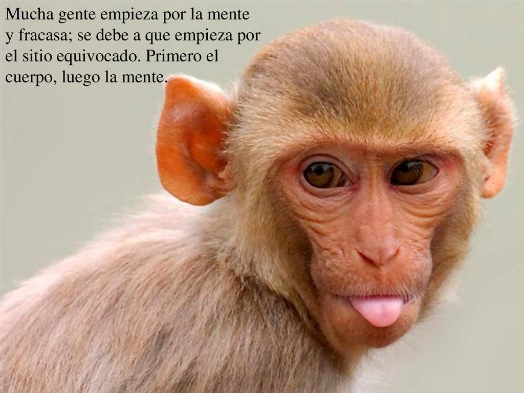 Mucha gente empieza por la mente y fracasa; se debe a que empieza por el sitio equivocado.