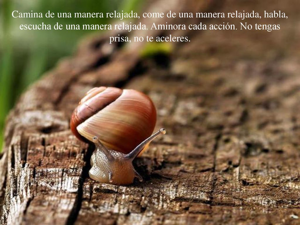 Camina de una manera relajada, come de una manera relajada, habla, escucha de una manera relajada.