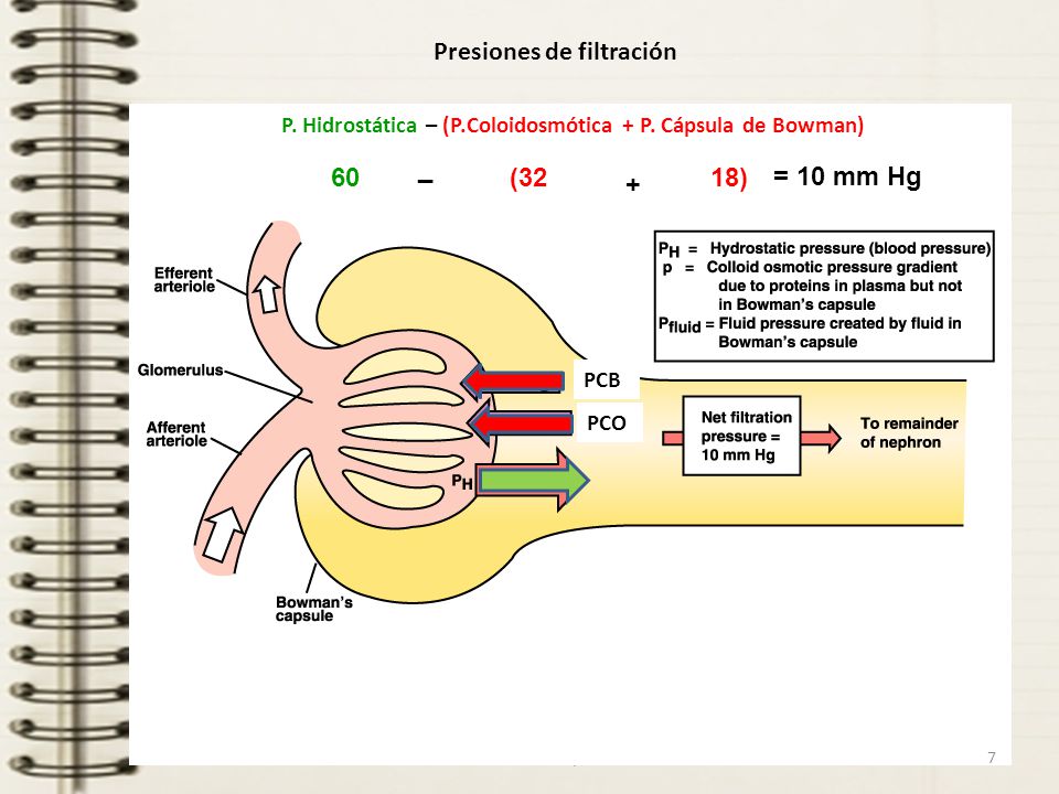 Presiones de filtración