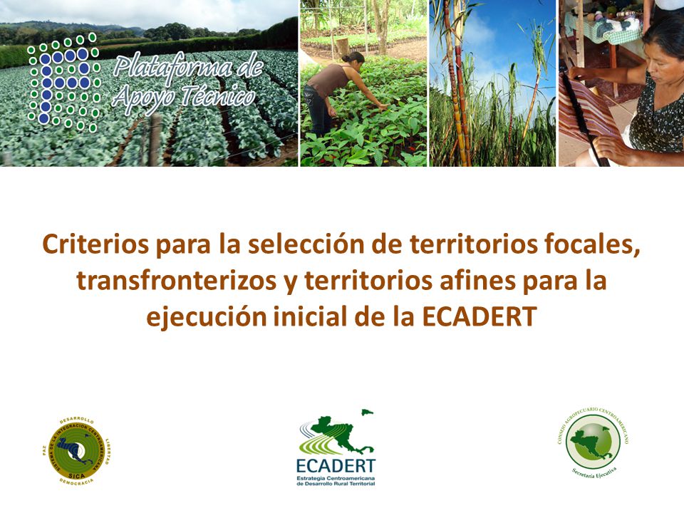 Criterios para la selección de territorios focales, transfronterizos y territorios afines para la ejecución inicial de la ECADERT