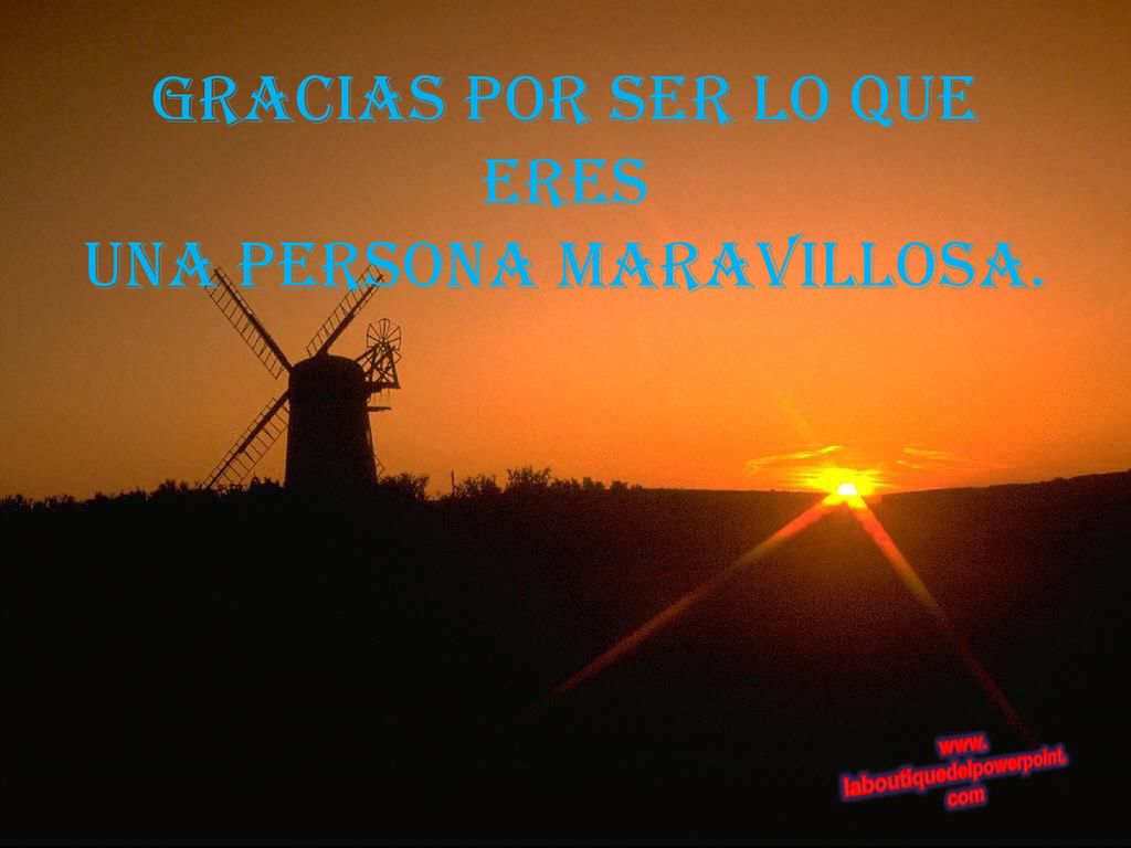 Gracias por ser lo que eres una persona maravillosa.