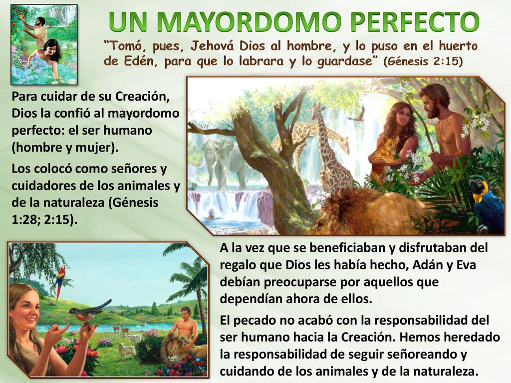 UN MAYORDOMO PERFECTO Tomó, pues, Jehová Dios al hombre, y lo puso en el huerto de Edén, para que lo labrara y lo guardase (Génesis 2:15)