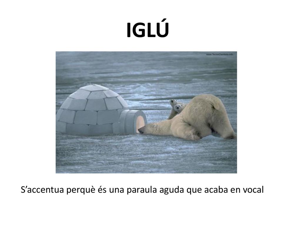 IGLÚ S’accentua perquè és una paraula aguda que acaba en vocal