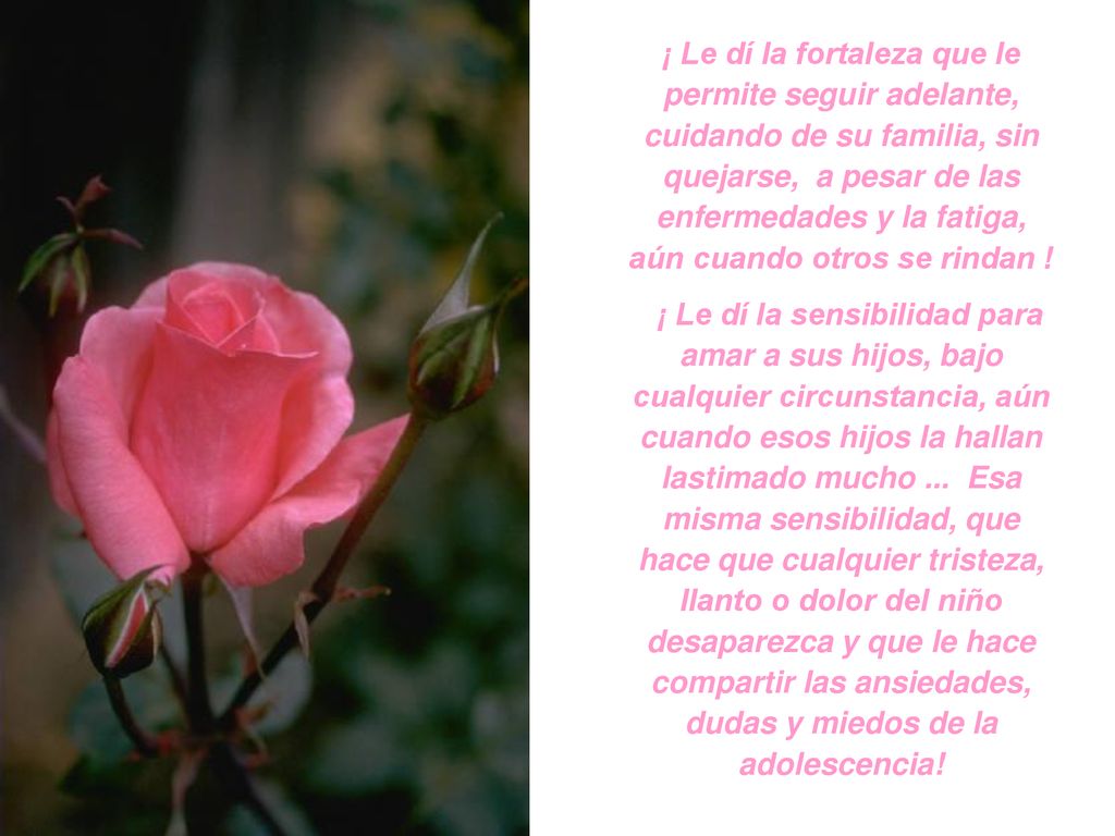 ¡ Le dí la fortaleza que le permite seguir adelante, cuidando de su familia, sin quejarse, a pesar de las enfermedades y la fatiga, aún cuando otros se rindan !