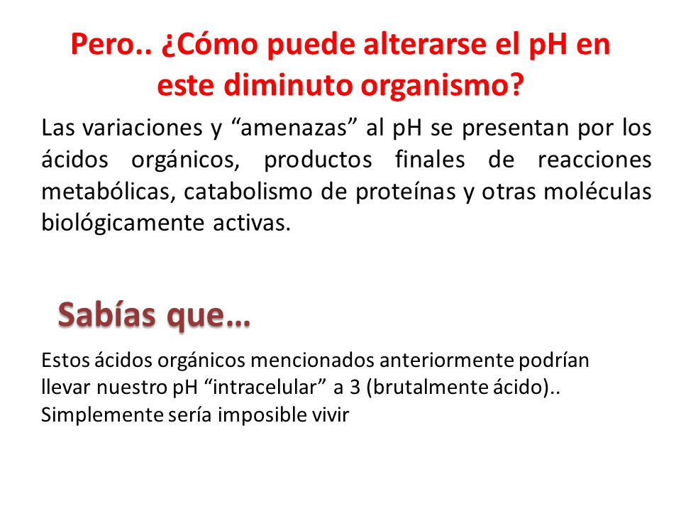 Pero.. ¿Cómo puede alterarse el pH en este diminuto organismo