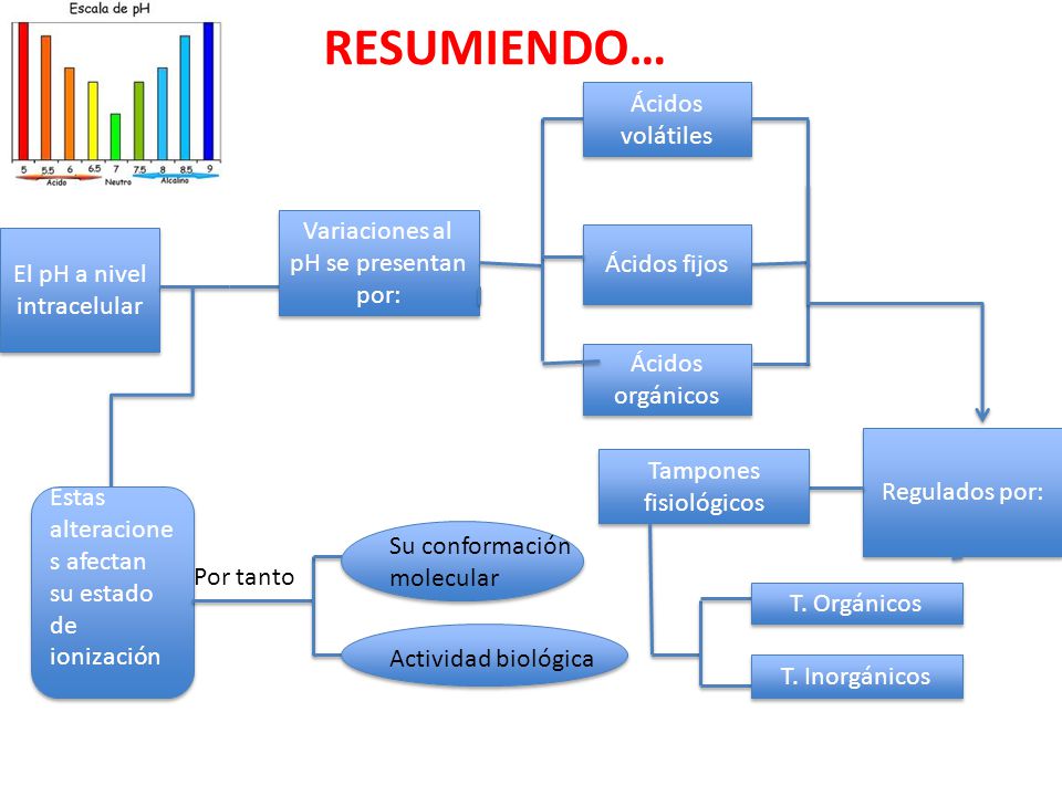 RESUMIENDO… Ácidos volátiles Variaciones al pH se presentan por:
