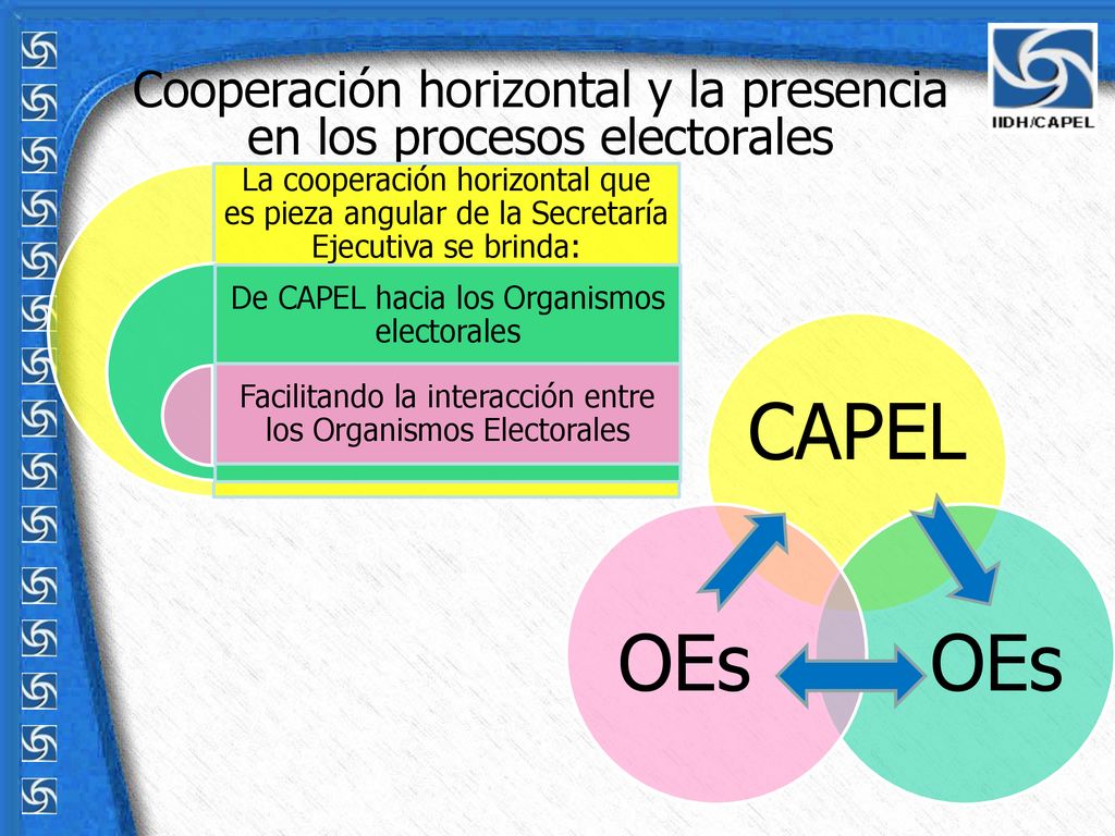 Cooperación horizontal y la presencia en los procesos electorales