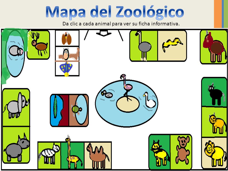 Cómo podemos aprender más acerca de los animales del zoológico? - ppt video  online descargar