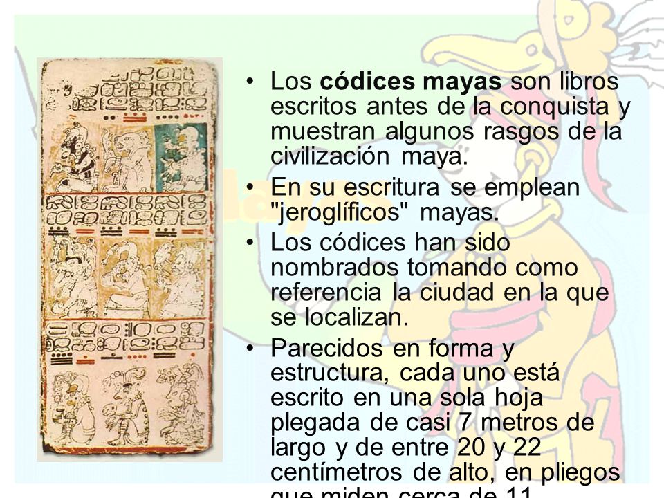 Los códices mayas son libros escritos antes de la conquista y muestran algunos rasgos de la civilización maya.