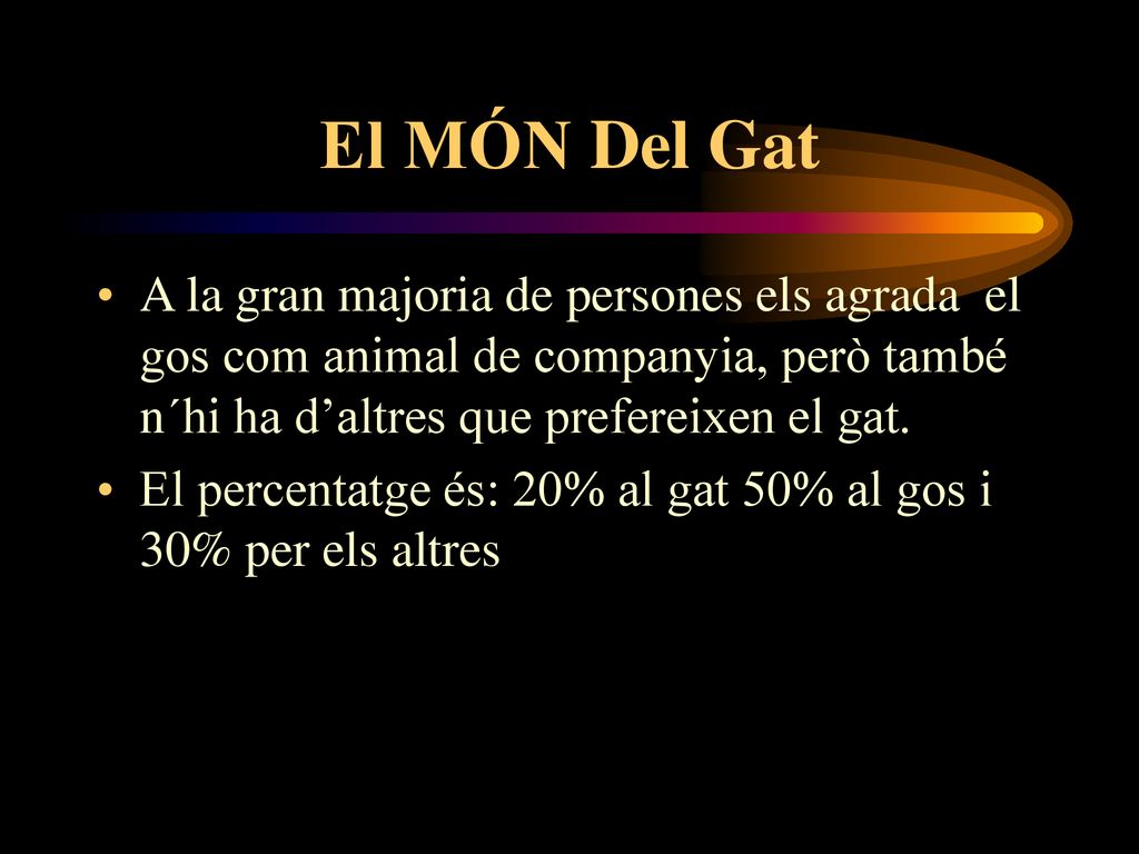 El MÓN Del Gat A la gran majoria de persones els agrada el gos com animal de companyia, però també n´hi ha d’altres que prefereixen el gat.