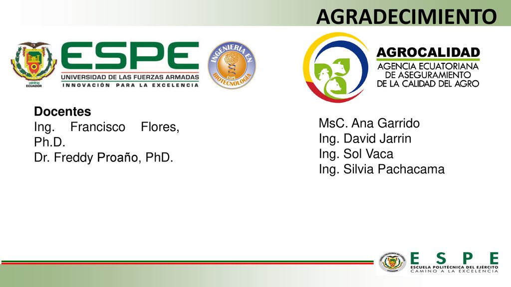 AGRADECIMIENTO Docentes Ing. Francisco Flores, Ph.D. MsC. Ana Garrido