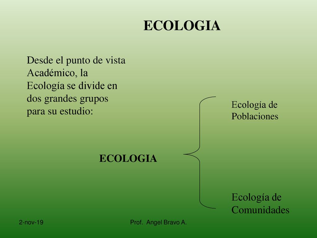 ECOLOGIA Desde el punto de vista Académico, la Ecología se divide en dos grandes grupos para su estudio: