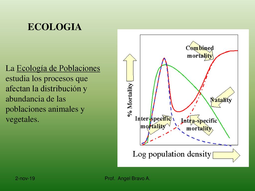 ECOLOGIA La Ecología de Poblaciones estudia los procesos que afectan la distribución y abundancia de las poblaciones animales y vegetales.