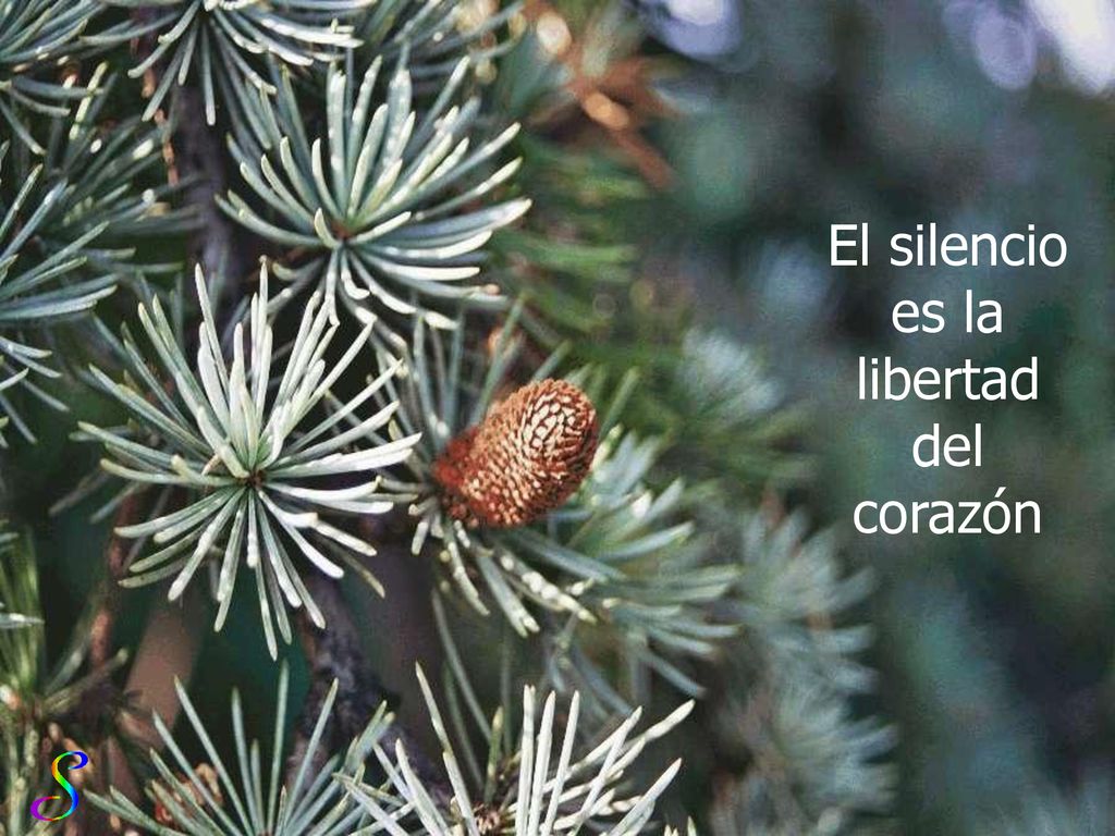 El silencio es la libertad del corazón