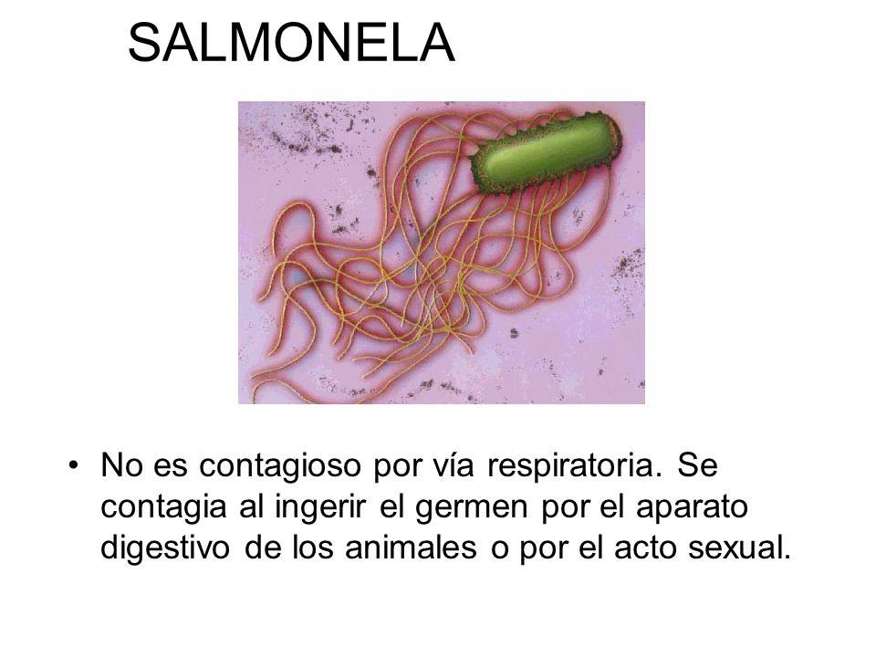 SALMONELA No es contagioso por vía respiratoria.