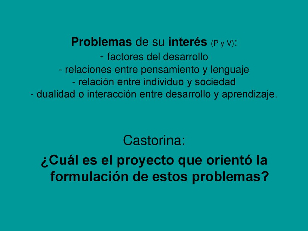 ¿Cuál es el proyecto que orientó la formulación de estos problemas