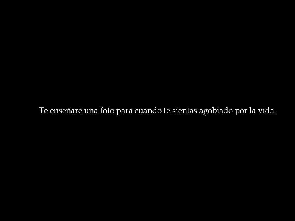 Te enseñaré una foto para cuando te sientas agobiado por la vida.