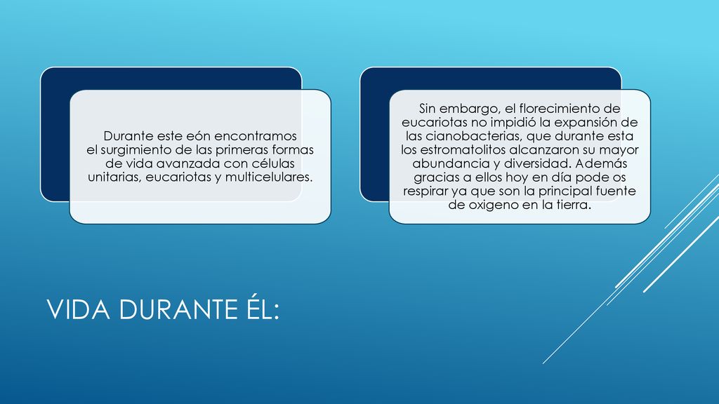Durante este eón encontramos el surgimiento de las primeras formas de vida avanzada con células unitarias, eucariotas y multicelulares.