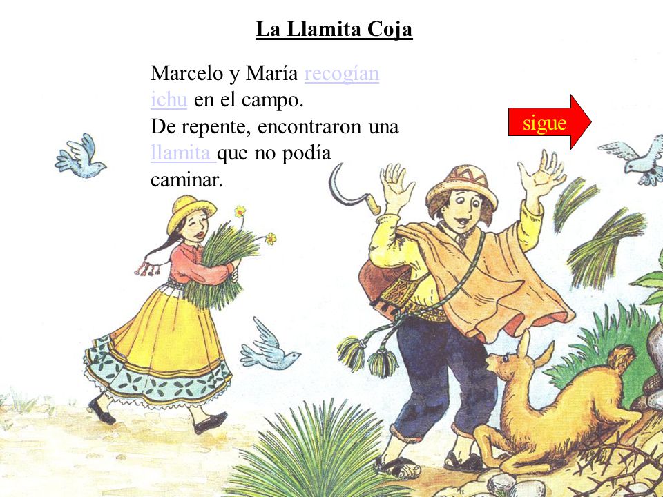 La Llamita Coja Marcelo y María recogían ichu en el campo. De repente, encontraron una llamita que no podía caminar.