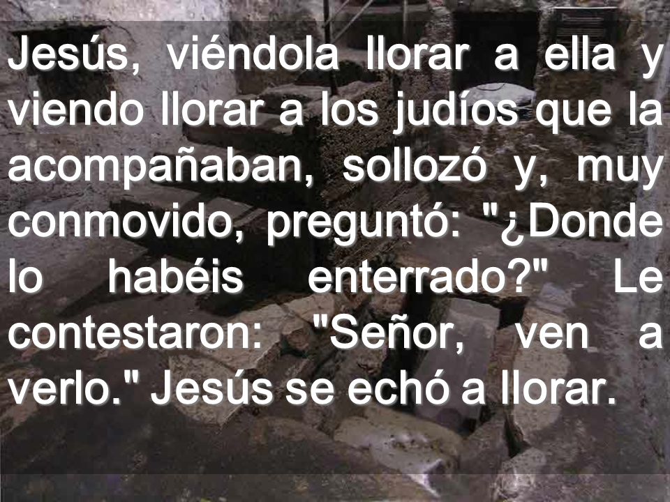 Jesús, viéndola llorar a ella y viendo llorar a los judíos que la acompañaban, sollozó y, muy conmovido, preguntó: ¿Donde lo habéis enterrado Le contestaron: Señor, ven a verlo. Jesús se echó a llorar.