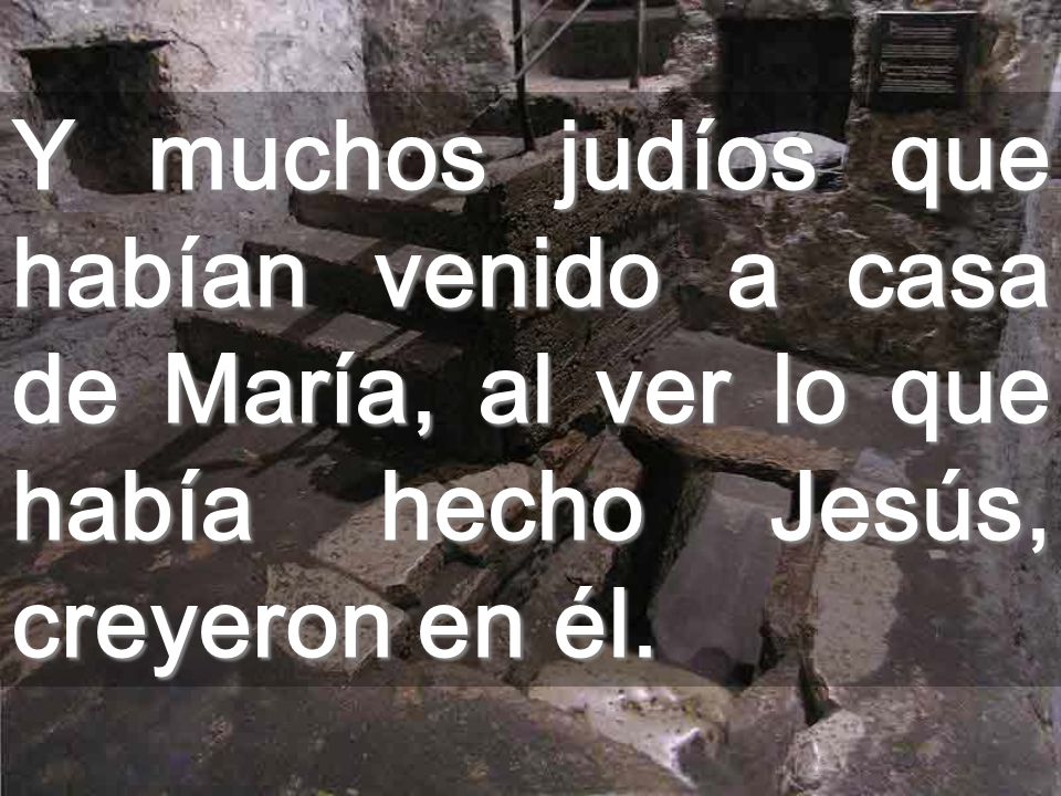 Y muchos judíos que habían venido a casa de María, al ver lo que había hecho Jesús, creyeron en él.