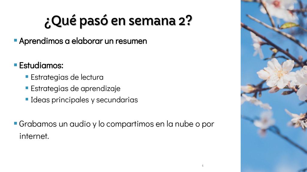 ¿Qué pasó en semana 2 Aprendimos a elaborar un resumen Estudiamos: